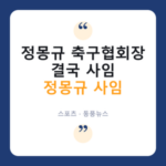 정몽규 축구협회장 결국 사임…"모든 과오 제 책임" thumb-745-navy