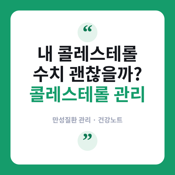 콜레스테롤 관리