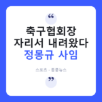 정몽규 사임