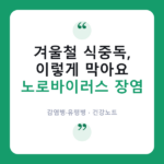 🤢 겨울철 "노로바이러스" 장염, 집단감염 막는 손위생·소독법은? 노로바이러스 장염