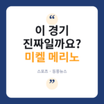 메리노