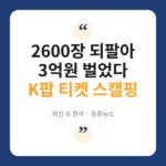 K팝 티켓 2600장 되팔아 3억 챙긴 여성…외신도 주목한 '피케팅' 실체 티켓