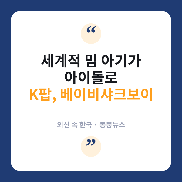 베이비샤크보이