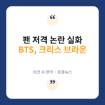 크리스 브라운, BTS 팬에 '기도나 해' 막말?…외신 "논란의 삭제 댓글" 크리스