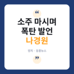 나경원