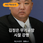 북한, IAEA 결의 즉각 거부…김정은 무기공장 시찰하며 '핵보유국' 재천명 북한
