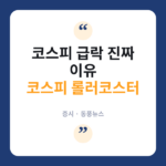 삼전닉스 레버리지 피눈물…9100→5500 '롤러코스피' 이유는 코스피